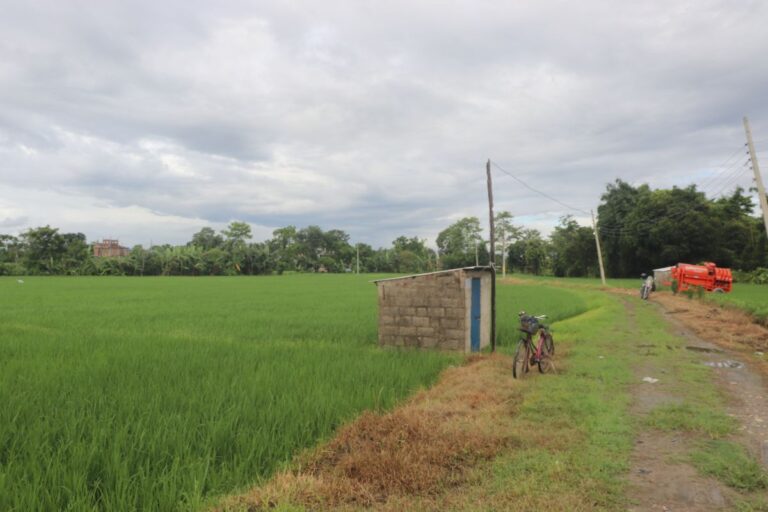 13 kaththa khet khairahani 6 768x512