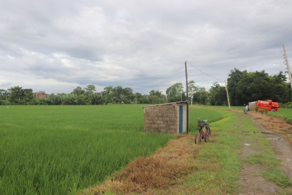 13 kaththa khet khairahani 6