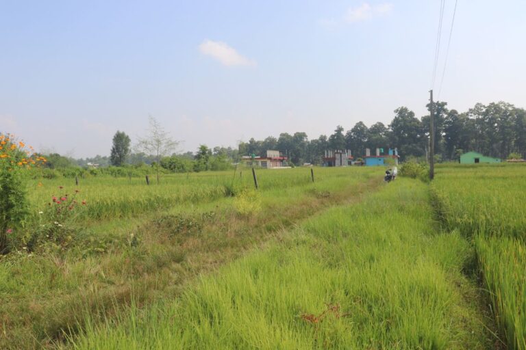 17dhur ghaderi bharatpur 768x512