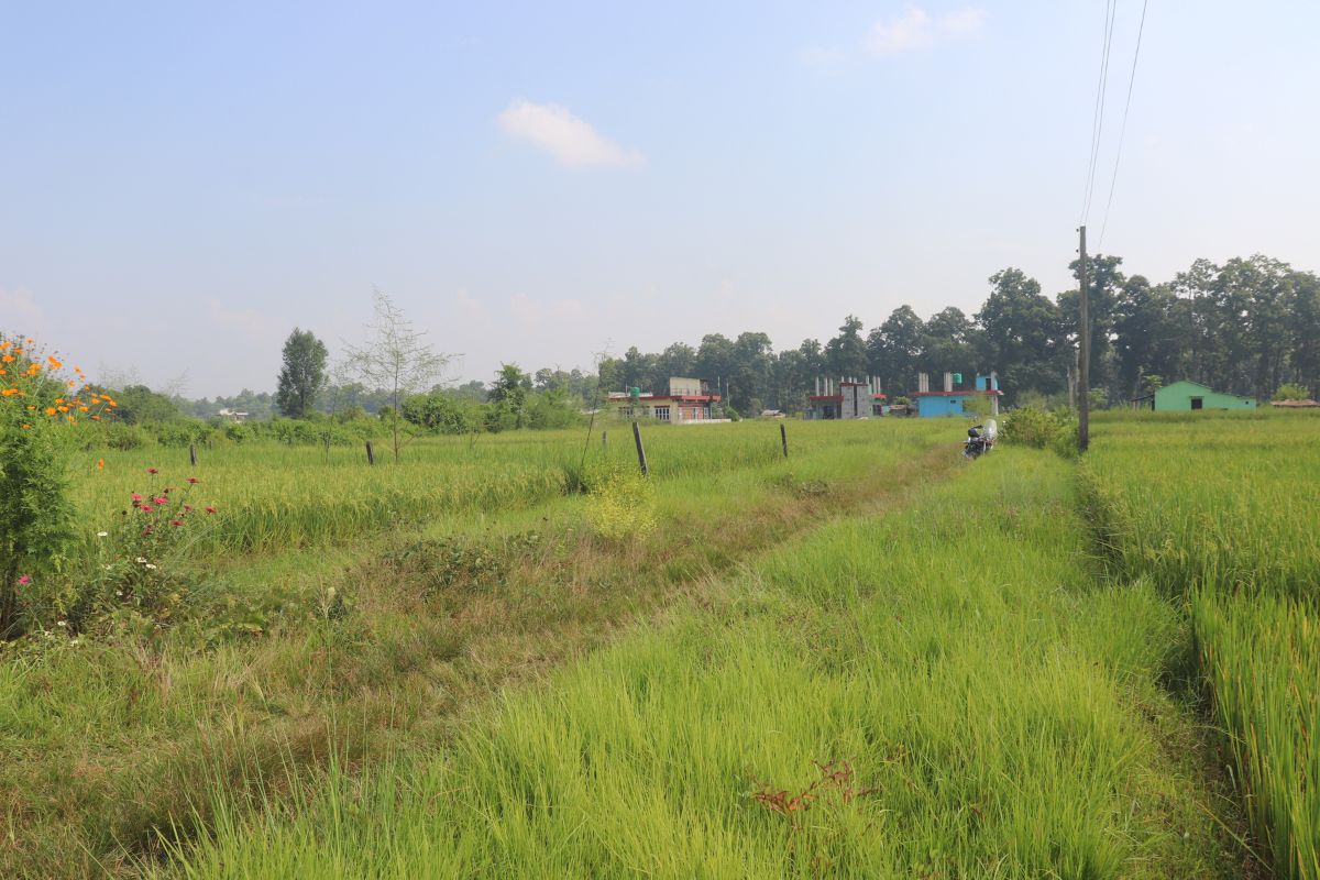 17dhur ghaderi bharatpur
