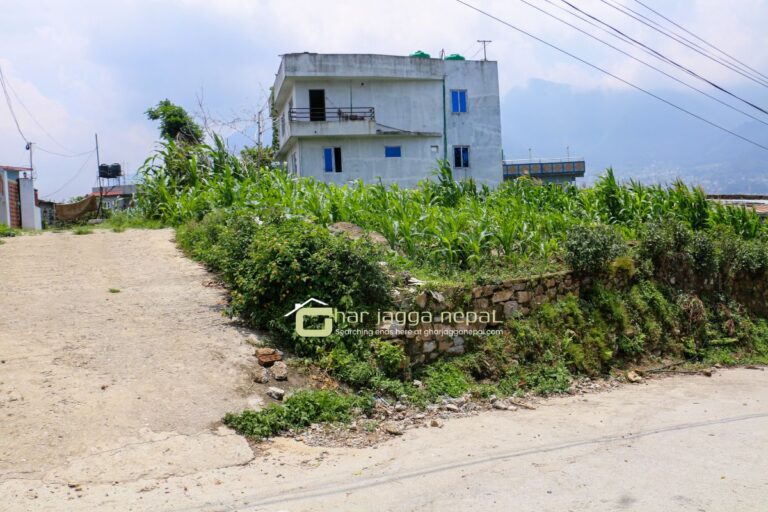 7 aana gahderi naya naikap kathmandu 768x512