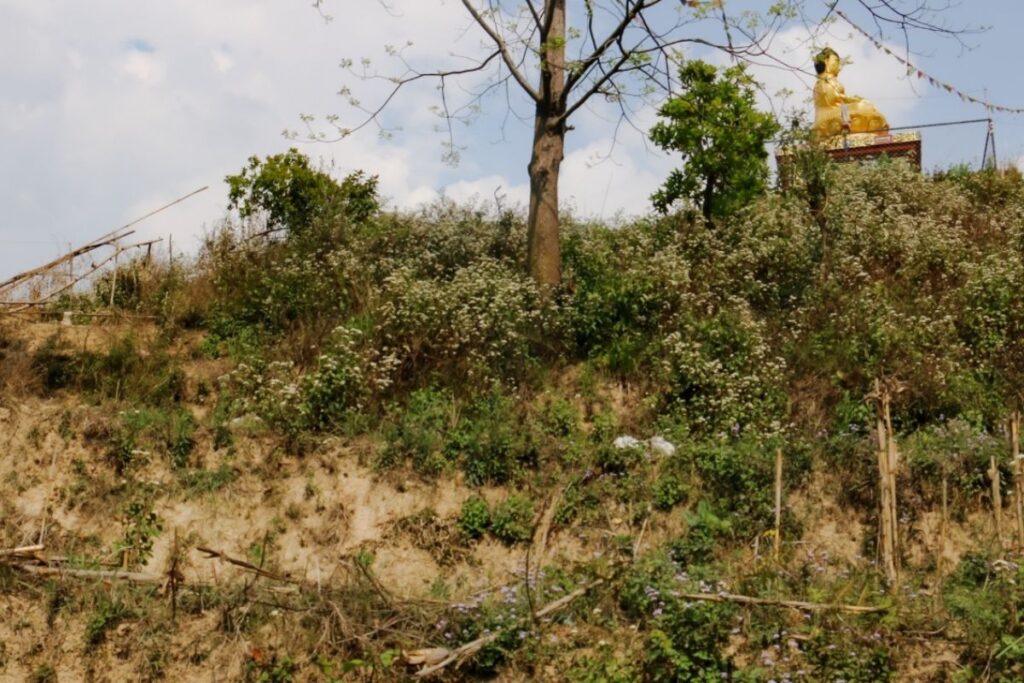 buddha park banepal 1ropani bikri 1024x683