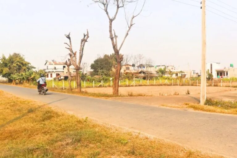 cheap ghaderi bharatpur5 shantitole 768x512