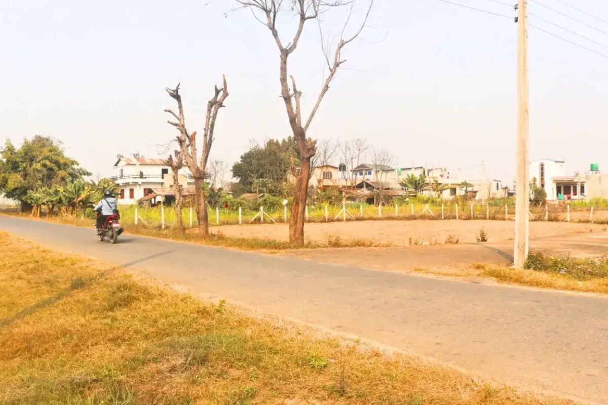 cheap ghaderi bharatpur5 shantitole