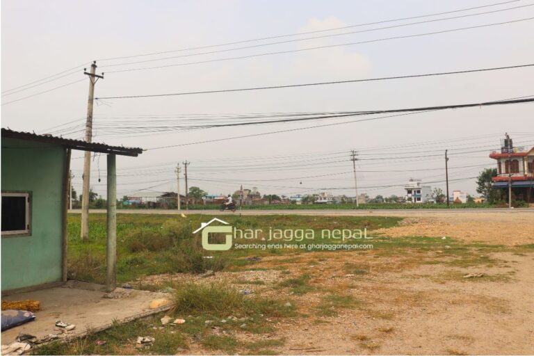 cheap ghaderi jyamire chitwan 768x512