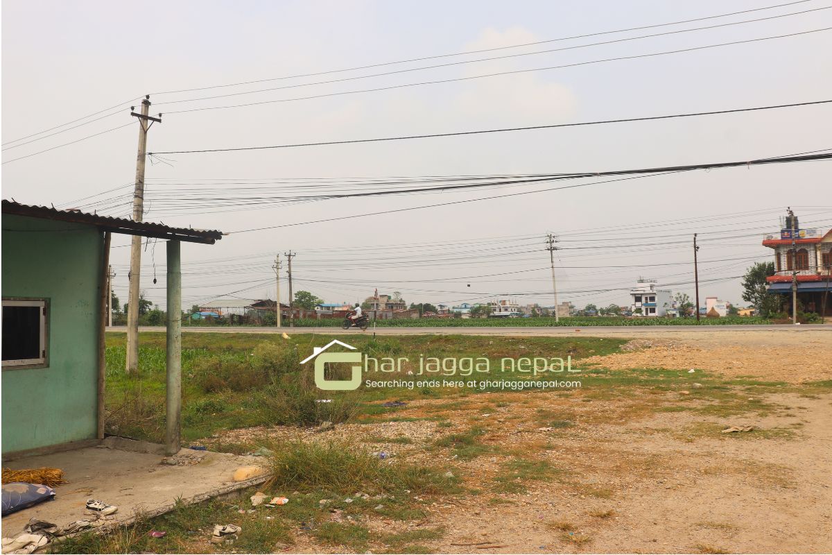 cheap ghaderi jyamire chitwan