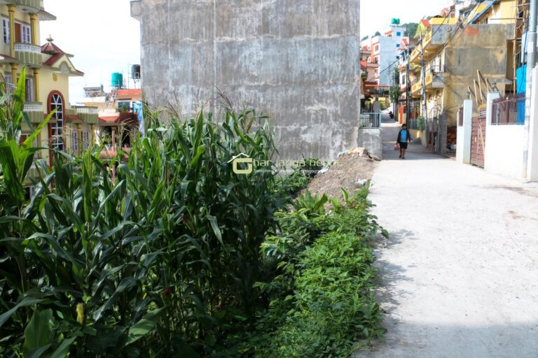 cheap ghaderi lolang kathmandu 768x512