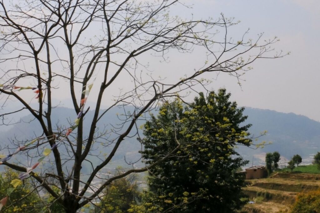 cheap jagga banepa bakhundole forsale 1024x683