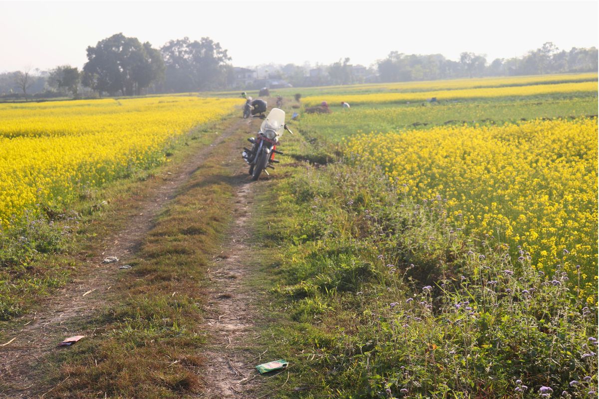cheap land sale kathar chitwan