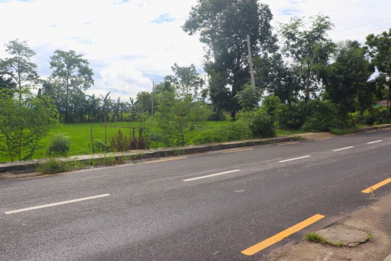 cheap land sale khairani near salauli bazar 768x512