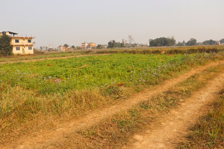 cheap land sale sauraha sabha hall chowk 768x512