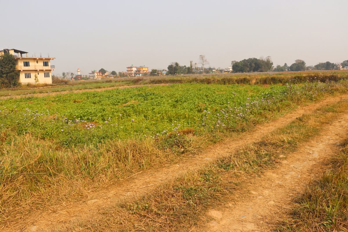 cheap land sale sauraha sabha hall chowk