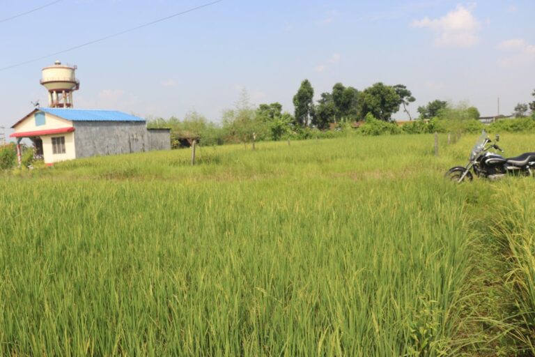 chitwan devnagar 17dhur ghaderi bikri 768x512