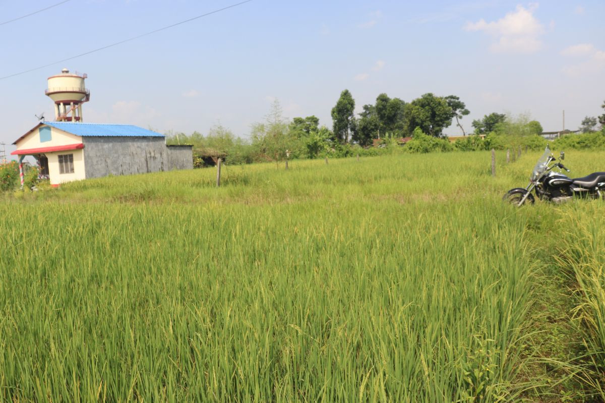 chitwan devnagar 17dhur ghaderi bikri