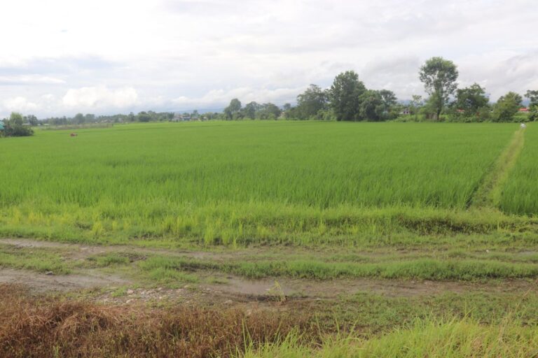 chitwan khairahanai6 landsale 768x512