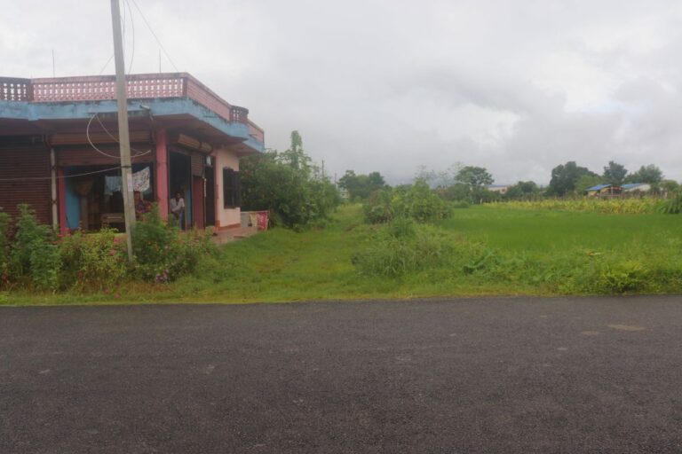 chitwan padampur kalika 10dhur 768x512