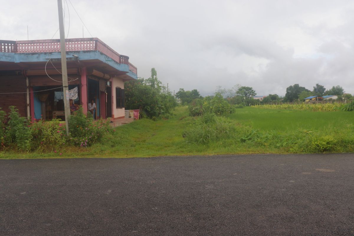chitwan padampur kalika 10dhur