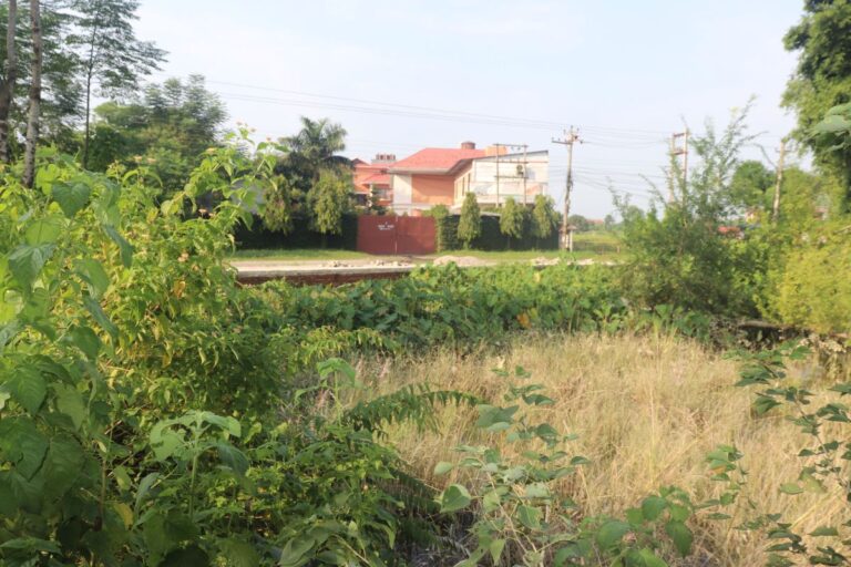 chitwan sauraha ghaderi bikri 768x512