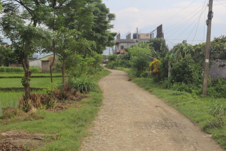 chitwanland 768x512