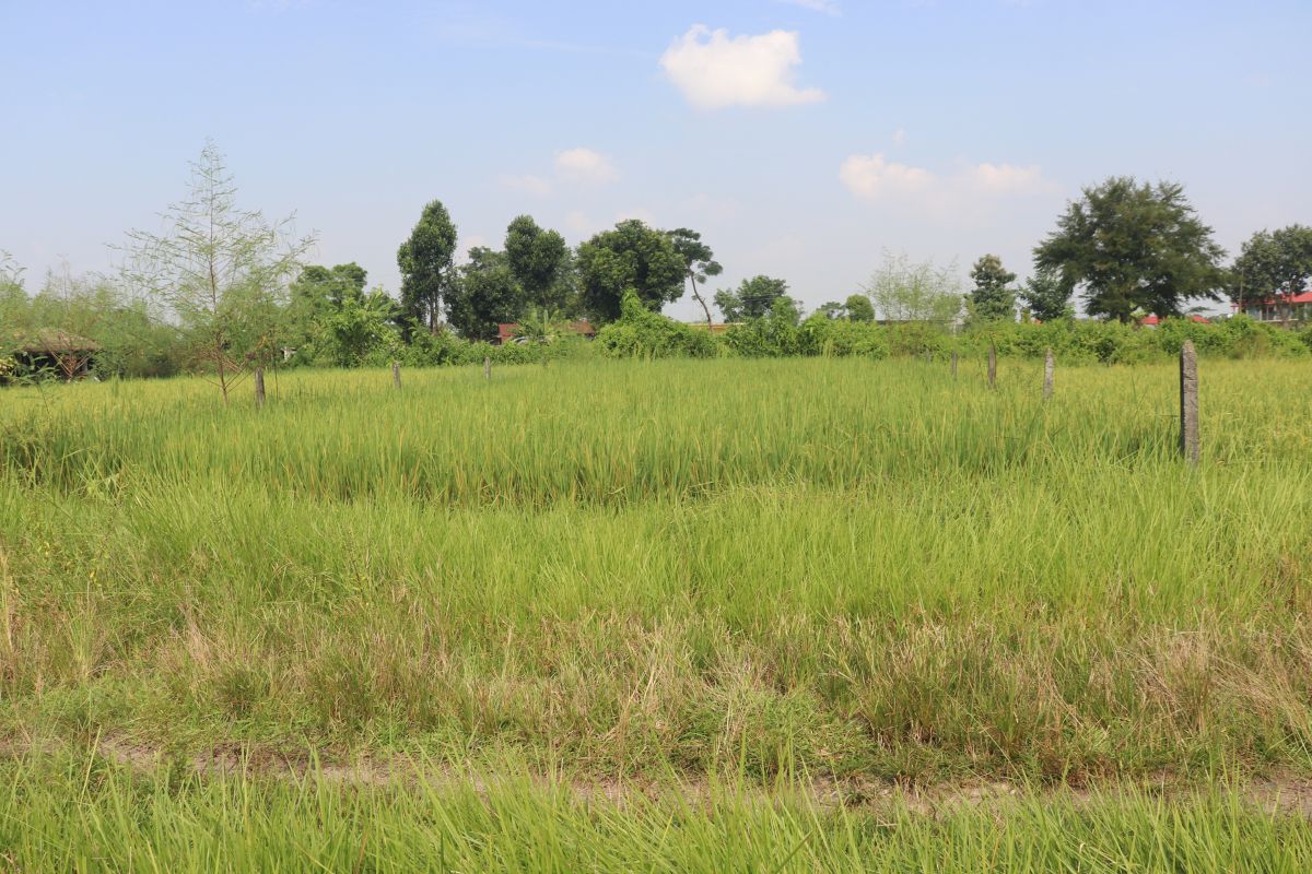 devnagar bharatpur ghaderi bikri