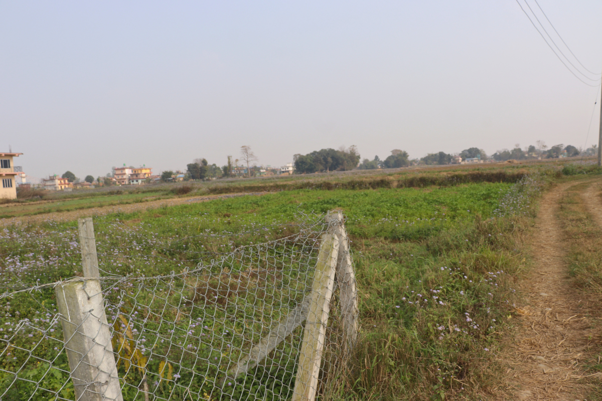 ghaderi bikri chitwan sauraha 2kaththa16dhur