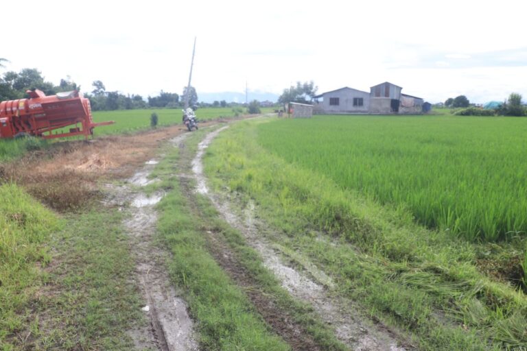 ghaderi khet bikri chitwan khairahani6 sinchaitole 768x512