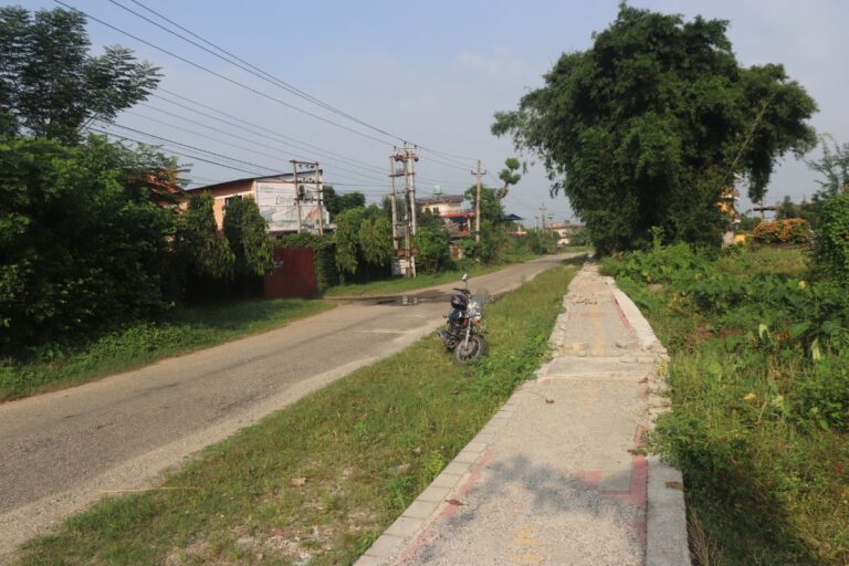 ghaderi sauraha baghmara 768x512