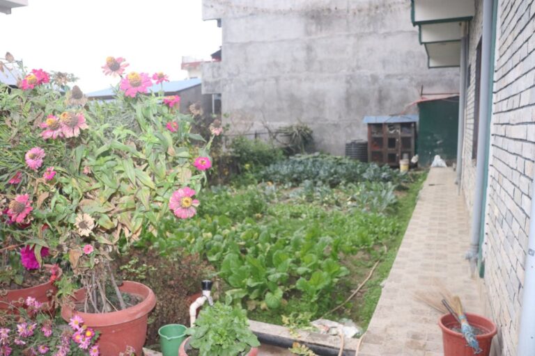 ghar bikri chitwan parsa 768x512