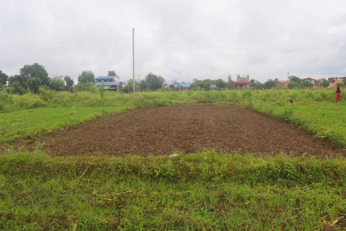 gorkhali tole kalika nagarpalika 10dhur