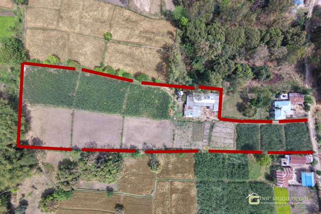 house land sale saptari kanchrup dharmapur 1024x683