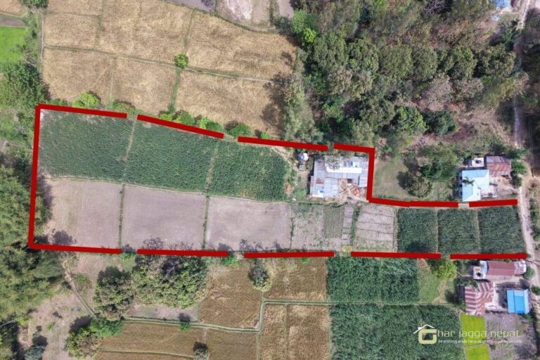 house land sale saptari kanchrup dharmapur 768x512