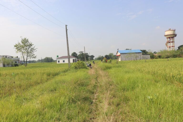 jagga bikri chitwan devnagar 768x512