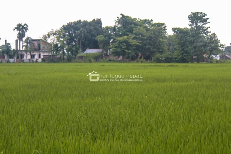 jagga bikri jhapa birtamod 768x512
