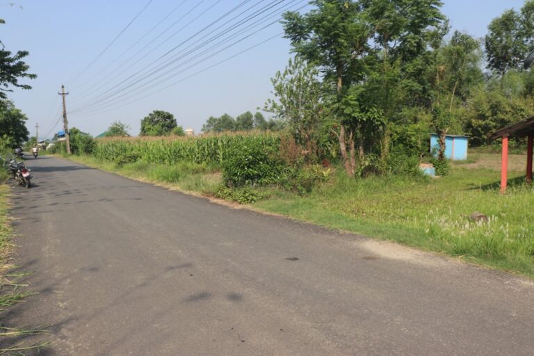 jagga bikri meghauli sajhapur chitwan 768x512