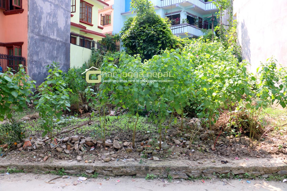 kathmandu ghaderi bikri raniban