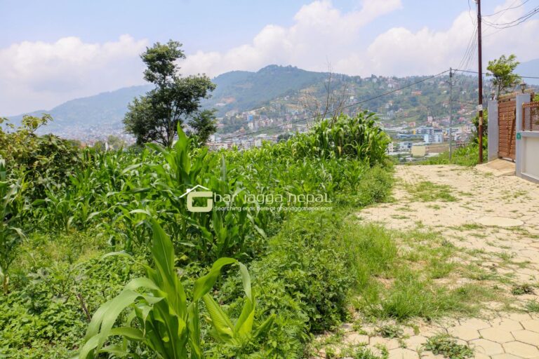 kathmandu naikap ghaderi bikri 768x512