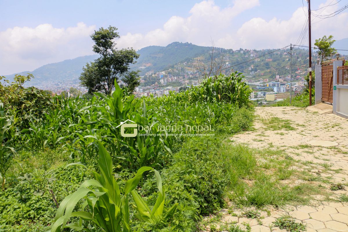 kathmandu naikap ghaderi bikri