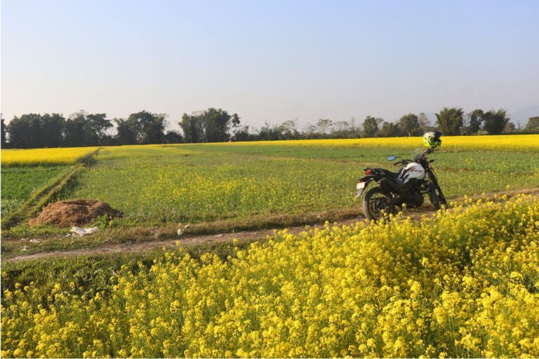 khairahani land sale kathar 768x512