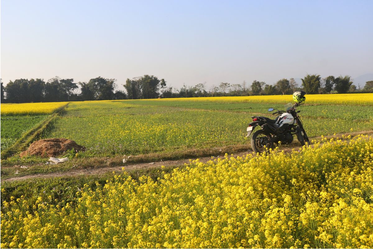 khairahani land sale kathar