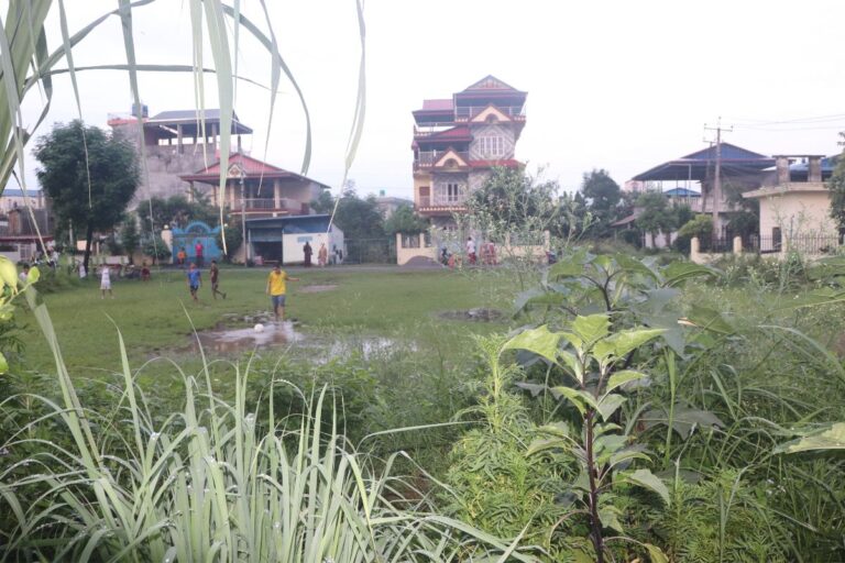 krishnapur bharatpur sasto ghaderi bikri 768x512