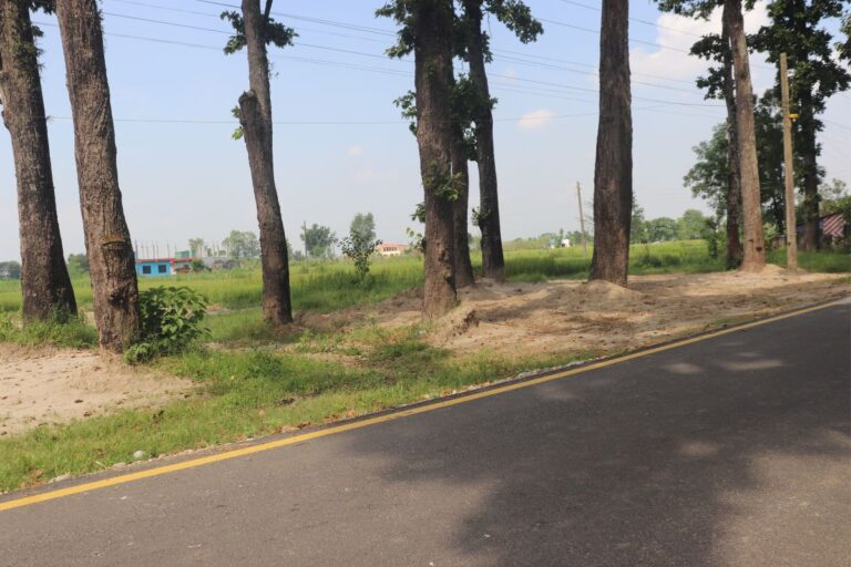 land for sale chitwan devnagar 768x512