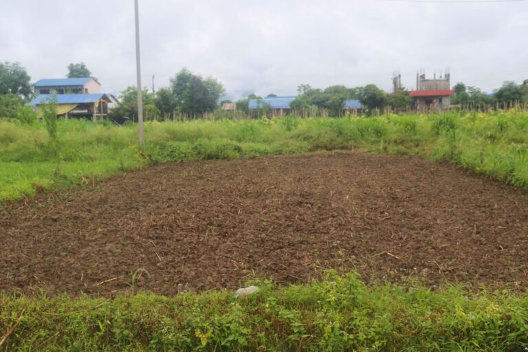 land for sale padampur gorkhali tole 768x512