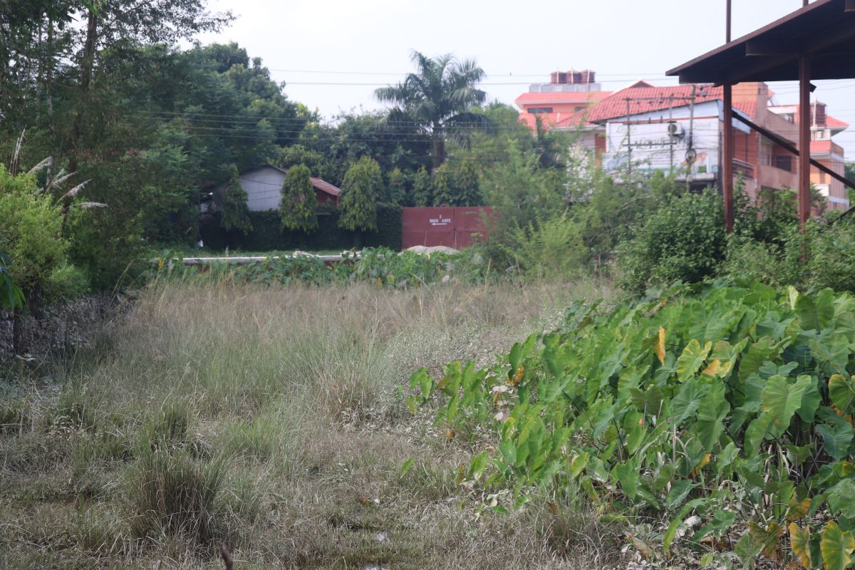 land for sale sauraha baghmara