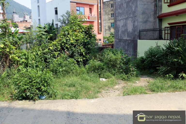 land sale byowner raniban 768x512