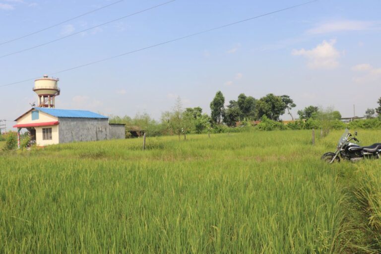 sasto ghaderi chitwan devnagar 768x512