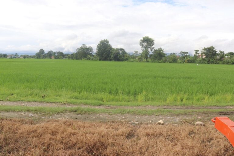 sasto jagga chitwan khairahani 768x512