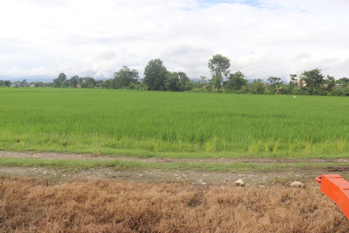 sasto jagga chitwan khairahani