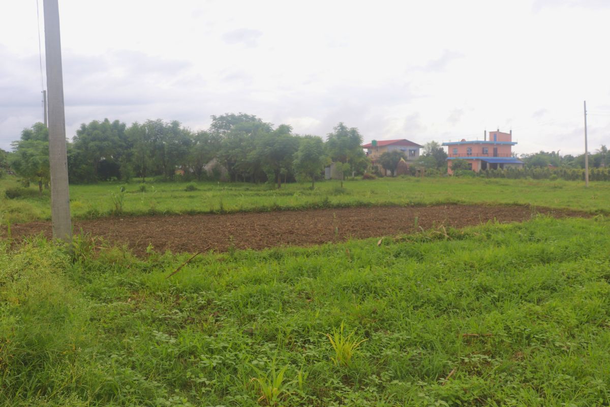 sasto jagga padampur chitwan