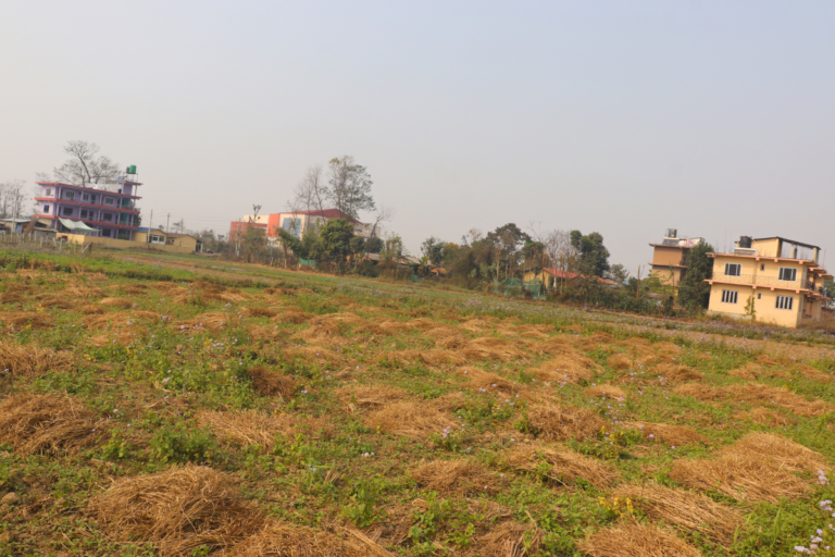 sauraha ratnanagar ghaderi sabhahallchowk 768x512