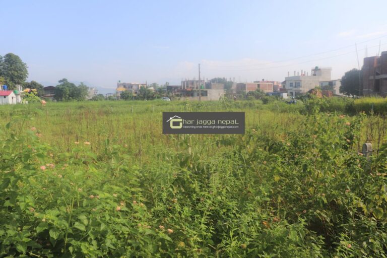 54dhur ghaderi chitwan bharatpur narayanpur 768x512